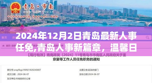 青岛人事任免新篇章，友情与成长下的温馨日常（2024年12月）