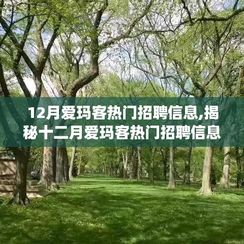 揭秘十二月爱玛客热门招聘信息，三大黄金机会助力职业发展飞跃