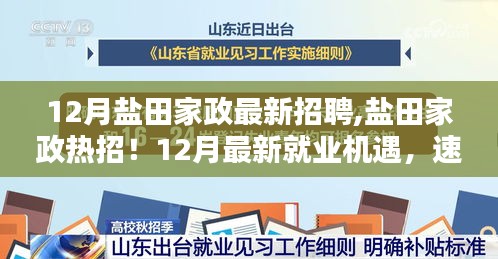 盐田家政招聘热潮来袭，最新就业机遇，把握十二月机遇！