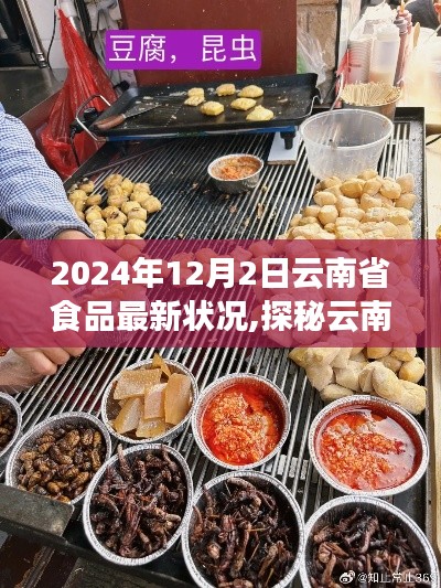 探秘云南小巷深处的食尚秘境，2024年云南省食品最新状况与风采揭秘