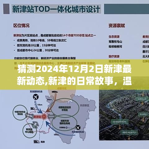 温馨时光猜想，新津未来动态与友情纽带，新津日常故事展望至2024年12月2日