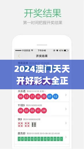 2024澳门天天开好彩大全正版优势评测338期,数据解析计划导向_创新版21.289-3