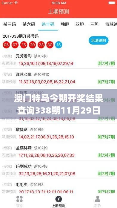 澳门特马今期开奖结果查询338期11月29日星期六,全面数据执行方案_CT22.252-1