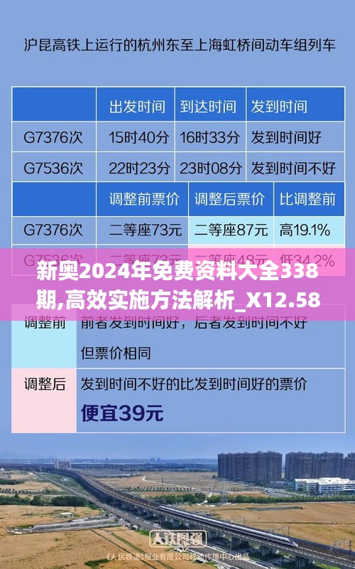 新奥2024年免费资料大全338期,高效实施方法解析_X12.581-6