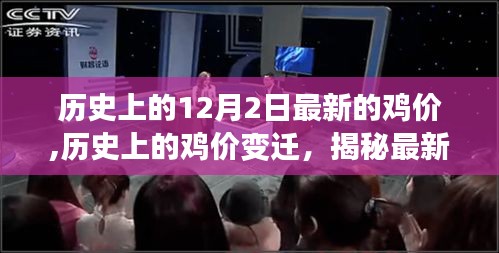 揭秘历史鸡价变迁，最新鸡价背后的故事（最新更新，12月2日）