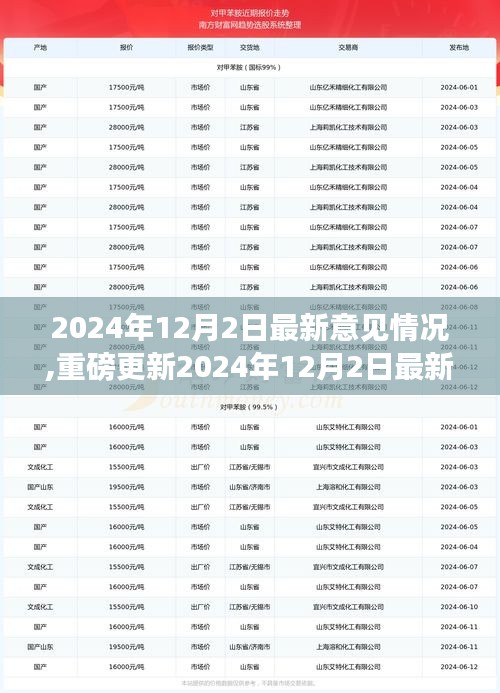 2024年12月2日最新意见情况,重磅更新2024年12月2日最新意见洞察，小红书社区热议新动态