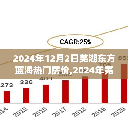 2024年芜湖东方蓝海热门房价详解，购房全攻略（初学者与进阶用户必看）