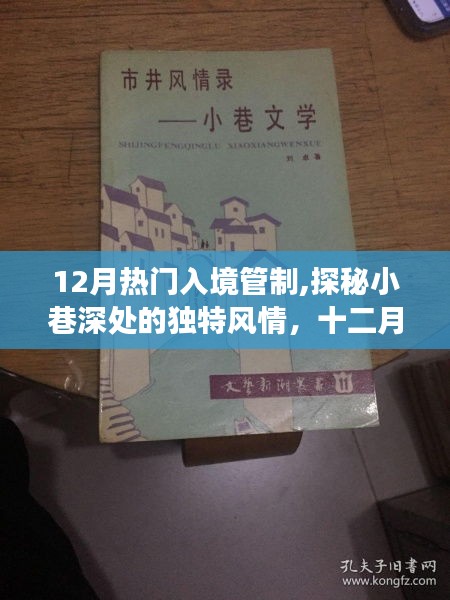 探秘十二月入境管制下小巷深处的独特风情与隐秘美食天堂