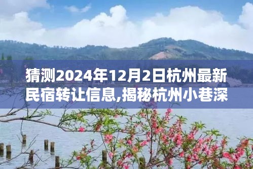 揭秘杭州小巷深处的独特民宿，最新转让信息预测与深度解读（2024年12月2日）