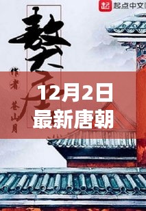 探寻唐朝新篇章，12月2日的历史解读与观点碰撞