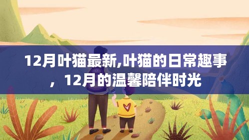 叶猫12月温馨日常趣事，陪伴与爱的时光