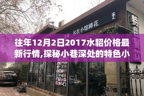 独家解读，揭秘水貂皮草行情与小巷特色小店最新行情动态