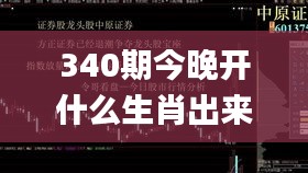 340期今晚开什么生肖出来呢,效率资料解释定义_pack47.665-4