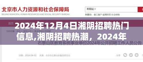 湘阴招聘热潮，行业聚焦与人才涌动在行动（2024年12月4日）