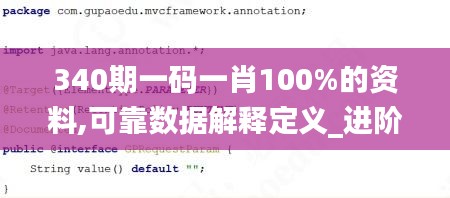 340期一码一肖100%的资料,可靠数据解释定义_进阶版14.720-2