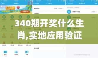 340期开奖什么生肖,实地应用验证数据_薄荷版56.756-7