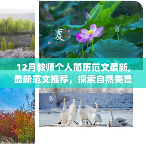 探索自然美景之旅，教师的简历与人生感悟——最新12月教师个人简历范文推荐