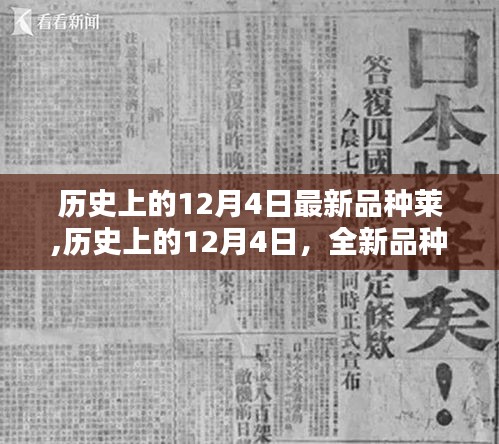 深度解析，历史上的莱品种演变与全新品种莱介绍