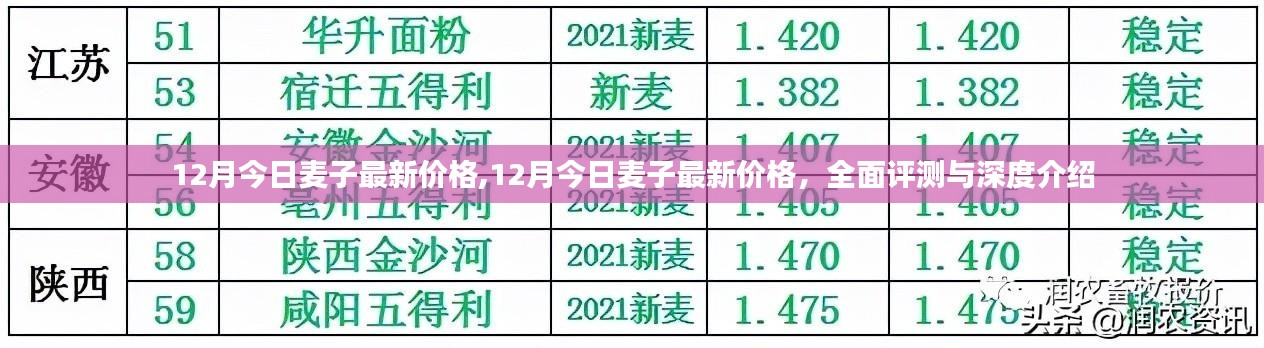 12月今日麦子最新价格详解，全面评测与深度介绍