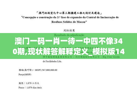 澳门一码一肖一待一中四不像340期,现状解答解释定义_模拟版143.715-9