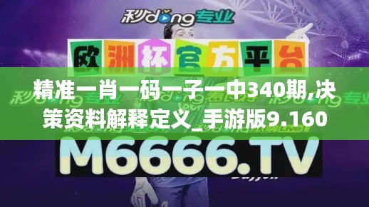 精准一肖一码一子一中340期,决策资料解释定义_手游版9.160