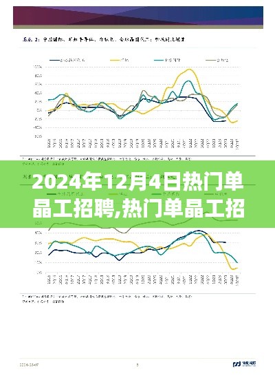 2024年12月4日单晶工招聘热点与行业深度剖析