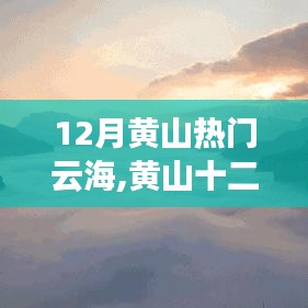 2024年12月5日 第8页