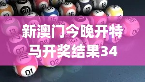 新澳门今晚开特马开奖结果341期,数据导向计划解析_尊享款4.479