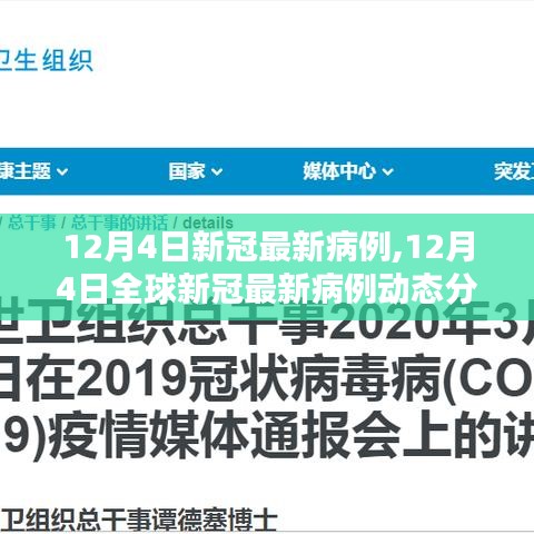 全球新冠最新病例动态分析（截至12月4日）