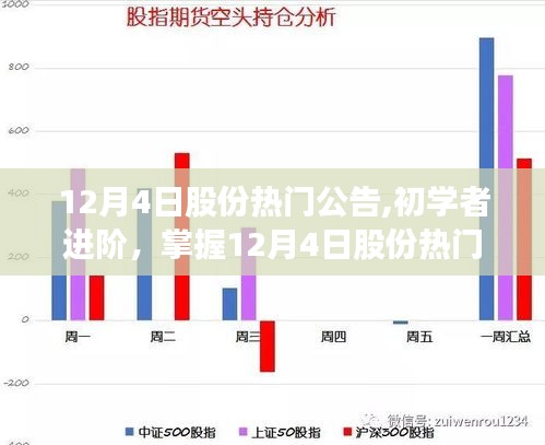 初学者进阶指南，掌握12月4日股份热门公告详细步骤与公告解读