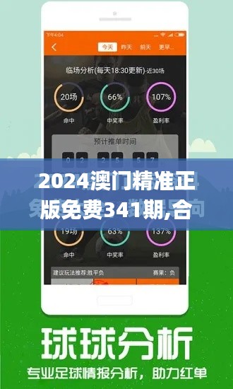 2024澳门精准正版免费341期,合理决策评审_完整版10.866