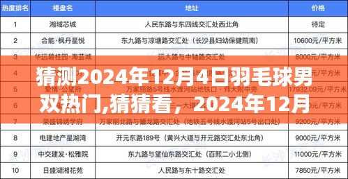 励志之旅揭晓！揭秘2024年羽毛球男双新星之王，谁将成为自信与成就之巅的引领者？