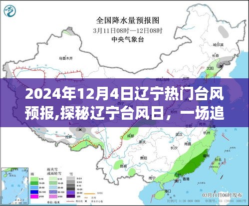 辽宁台风日探秘，追寻内心平静的旅程与自然的狂欢派对预告——2024年12月4日热门台风预报