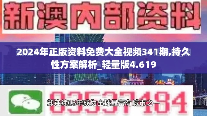 2024年正版资料免费大全视频341期,持久性方案解析_轻量版4.619