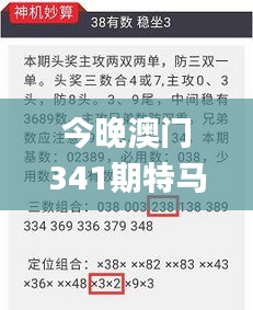 今晚澳门341期特马开什么今晚四不像,快捷问题解决方案_4K版10.448