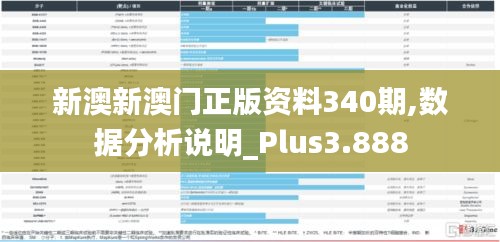 新澳新澳门正版资料340期,数据分析说明_Plus3.888