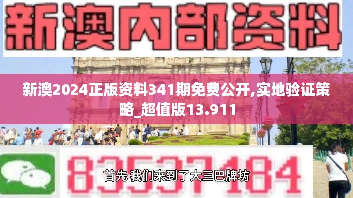 新澳2024正版资料341期免费公开,实地验证策略_超值版13.911