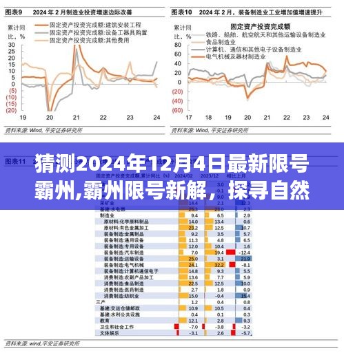 探寻自然美景，心灵之旅启程，霸州限号新解与启程日期猜想 2024年12月4日