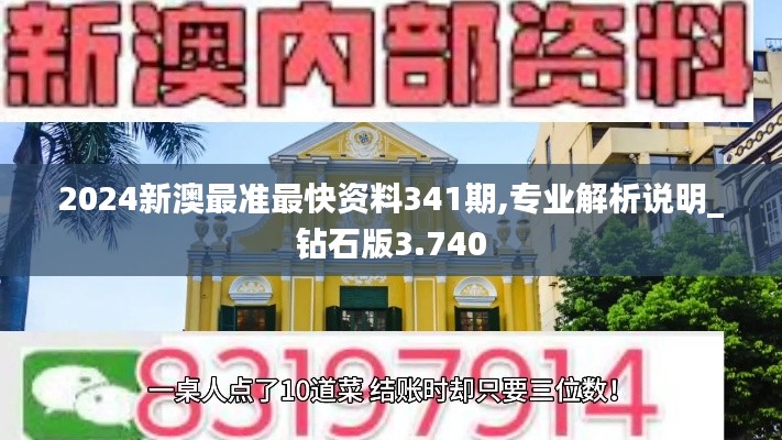 2024新澳最准最快资料341期,专业解析说明_钻石版3.740