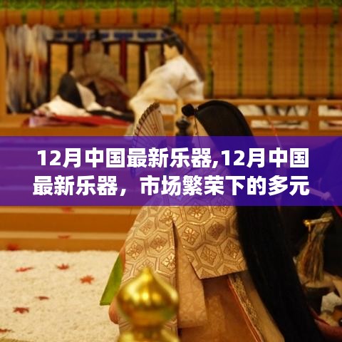 市场繁荣下的多元视角与个体立场，12月中国最新乐器概览