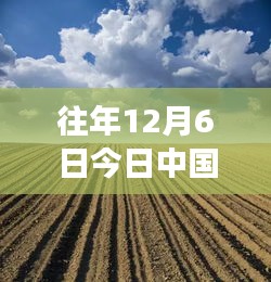 往年12月6日中国疫情背景下的心灵觉醒之旅，自然美景与内心力量的探索之旅