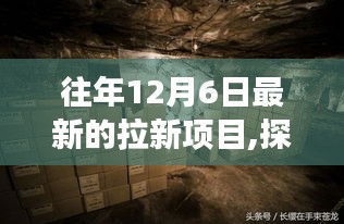 历年12月6日最新拉新项目探秘，小巷深处的宝藏与独特体验之旅