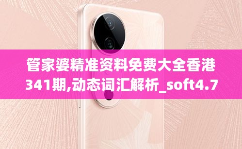 管家婆精准资料免费大全香港341期,动态词汇解析_soft4.759