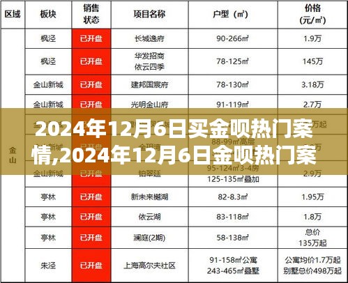 黄金投资焦点解析，金呗热门案情深度解读（2024年12月6日）