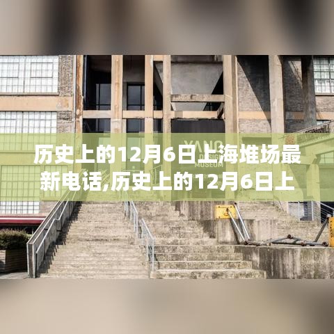 历史上的12月6日上海堆场最新电话，全面评测与详细介绍