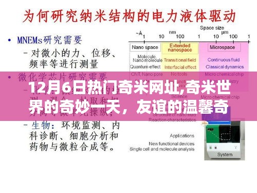 友谊的温馨奇遇，奇米世界的奇妙一天（最新热门奇米网址分享）