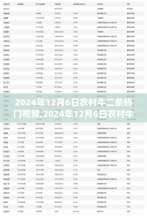 2024年12月6日农村牛二条热门视频，传统与现代交融的乡村魅力