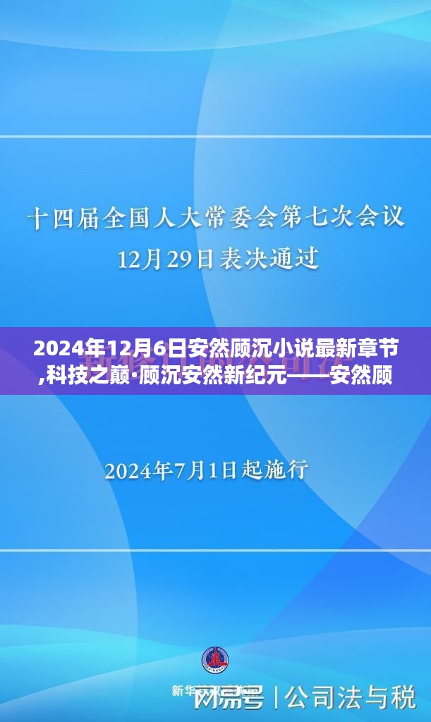 2024年12月7日 第15页