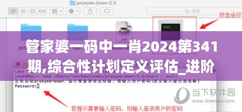 管家婆一码中一肖2024第341期,综合性计划定义评估_进阶版5.684