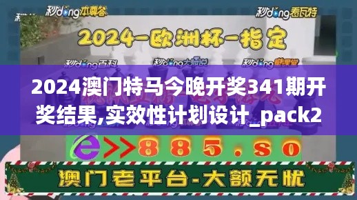 2024澳门特马今晚开奖341期开奖结果,实效性计划设计_pack2.544